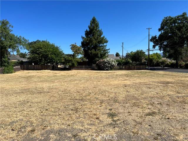 Lakeport, CA 95453,310 Clear Lake Avenue