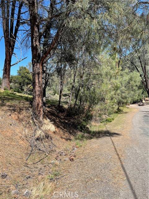 Kelseyville, CA 95451,4736 Kaweah Road