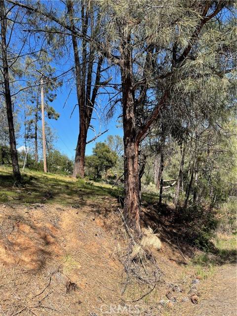 Kelseyville, CA 95451,4736 Kaweah Road