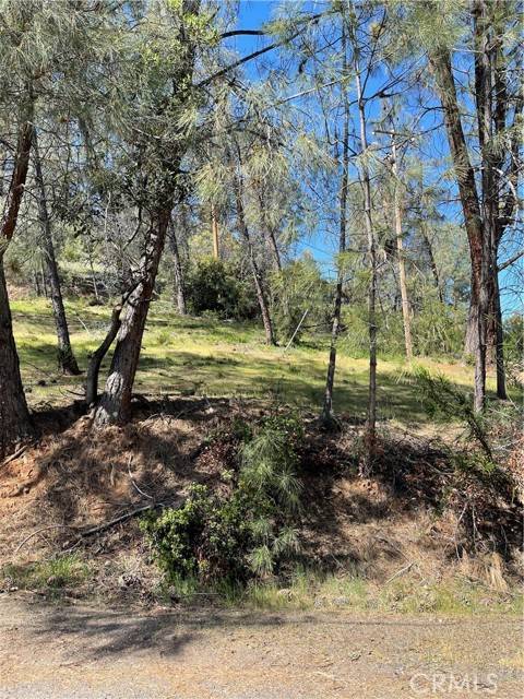 Kelseyville, CA 95451,4736 Kaweah Road
