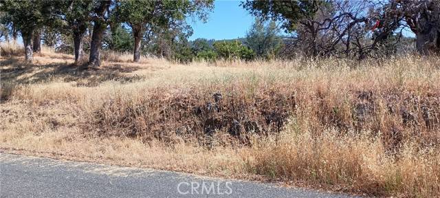 Clearlake, CA 95424,10312 Crestview Drive