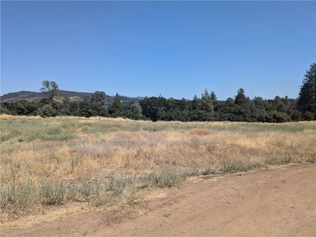 Clearlake, CA 95422,3569 Kakul Street