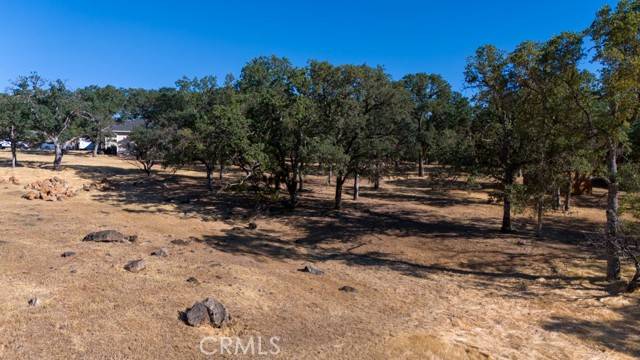 Hidden Valley Lake, CA 95467,19697 Donkey Hill Road