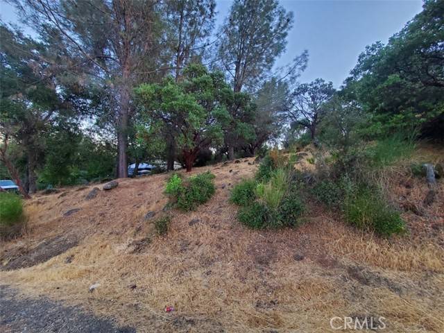 Hidden Valley Lake, CA 95467,17482 Deer Hill Road