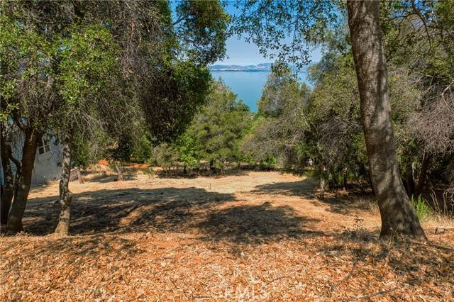 Kelseyville, CA 95451,3167 Skyline Drive