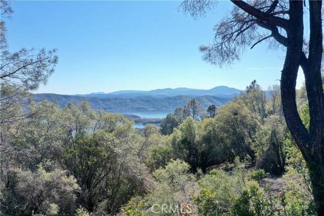 Clearlake Oaks, CA 95423,12403 Alta Vista Drive