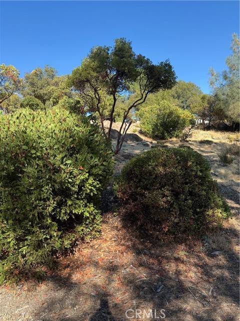 Kelseyville, CA 95451,5238 Tewa Court