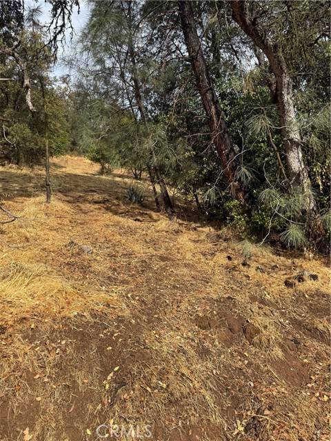 Clearlake Oaks, CA 95423,12504 Lakeview Drive