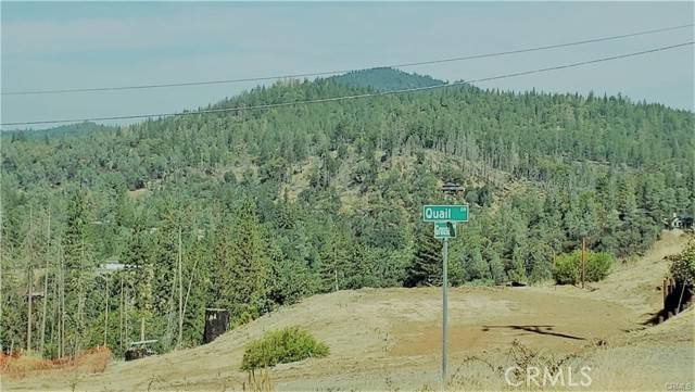 Cobb, CA 95426,14765 Grouse Road