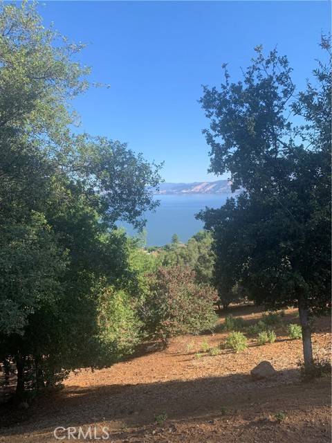 Kelseyville, CA 95451,3125 Skyline Drive