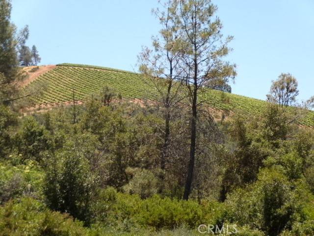 Clearlake Oaks, CA 95423,1105 Round Mountain