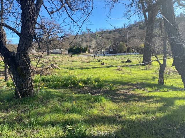 Lower Lake, CA 95457,16387 Daly Street