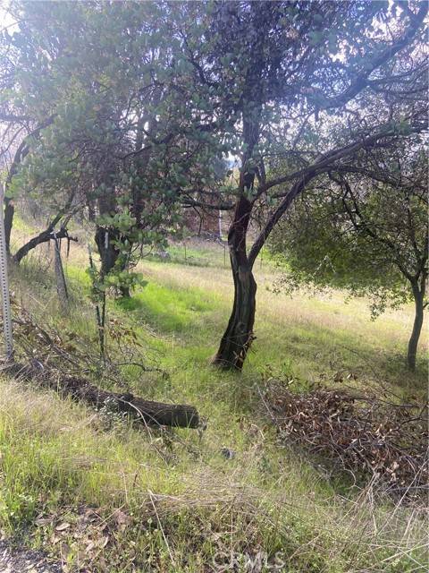 Nice, CA 95464,7005 Marin Street