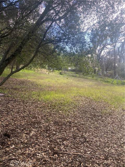 Nice, CA 95464,7005 Marin Street