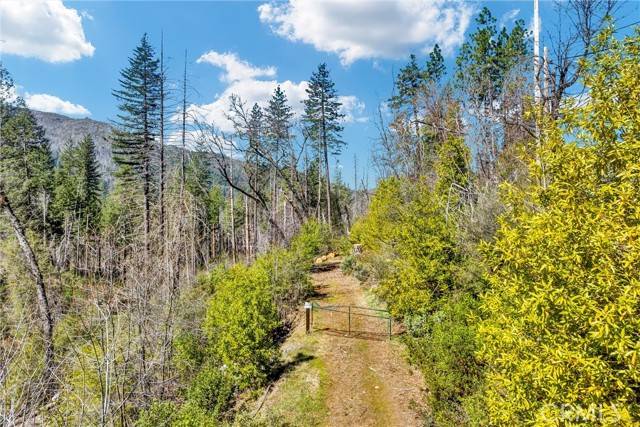 Cobb, CA 95426,12061 Gifford Springs Road