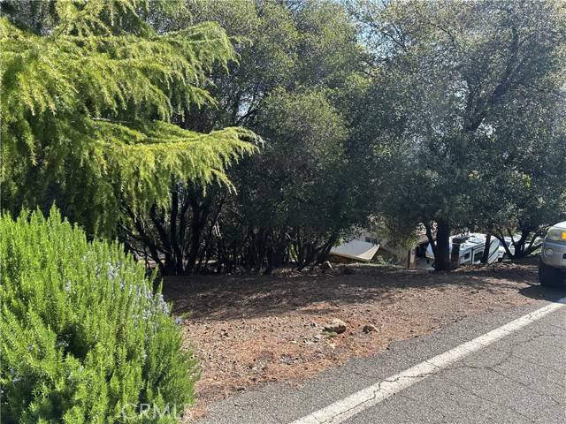 Kelseyville, CA 95451,8310 Mountain Crest Drive