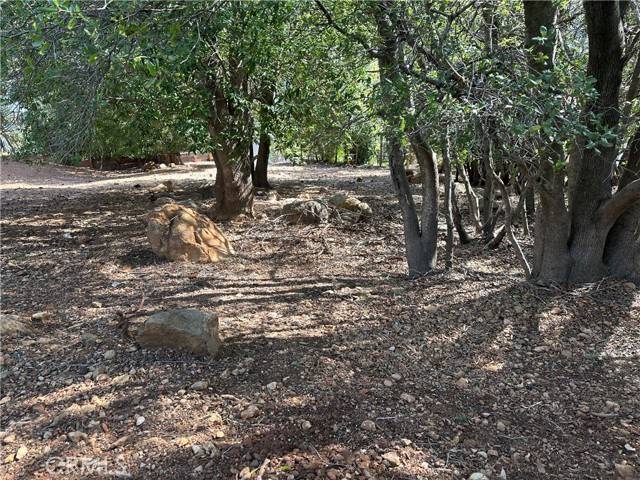 Kelseyville, CA 95451,8310 Mountain Crest Drive