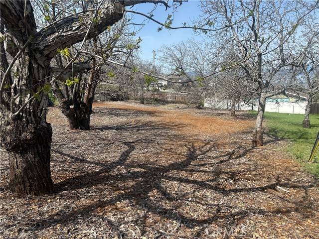 Kelseyville, CA 95451,3165 Marina View Drive
