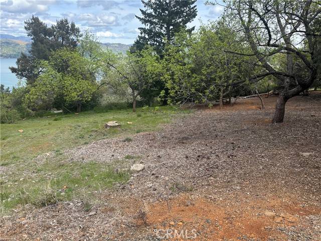 Kelseyville, CA 95451,3680 Greenwood Drive