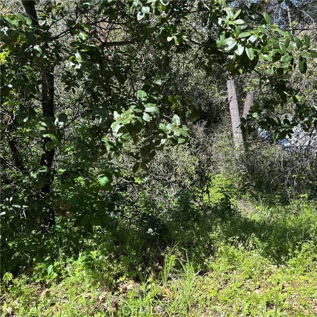 Nice, CA 95464,6972 Floyd Way