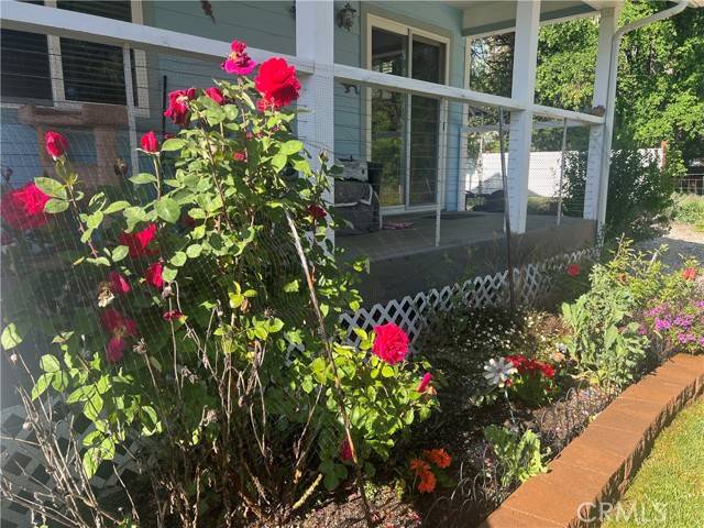 Lower Lake, CA 95457,17224 Mustang Court
