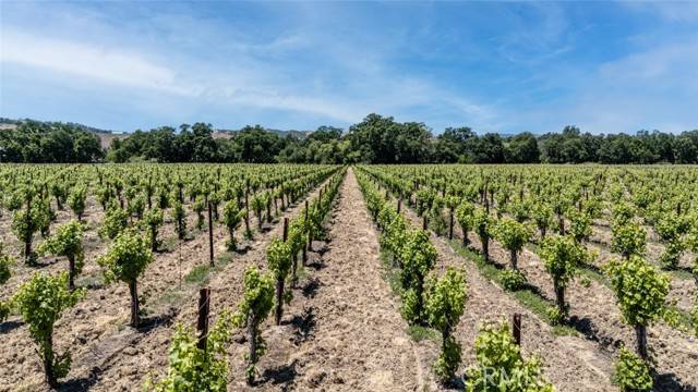 Lakeport, CA 95453,270 Soda Bay Road