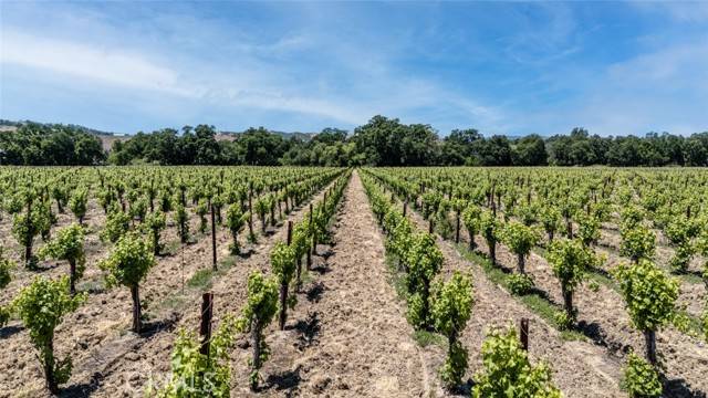 Lakeport, CA 95453,270 Soda Bay Road