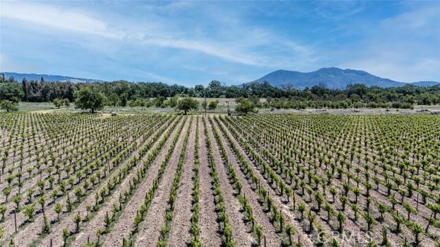Lakeport, CA 95453,270 Soda Bay Road