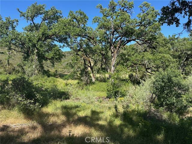 Lakeport, CA 95453,7300 Ridge Road