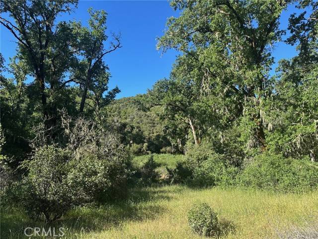 Lakeport, CA 95453,7300 Ridge Road