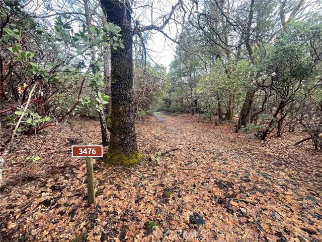 Upper Lake/ Upper Lake Valley, CA 95469,3476 Upland Way