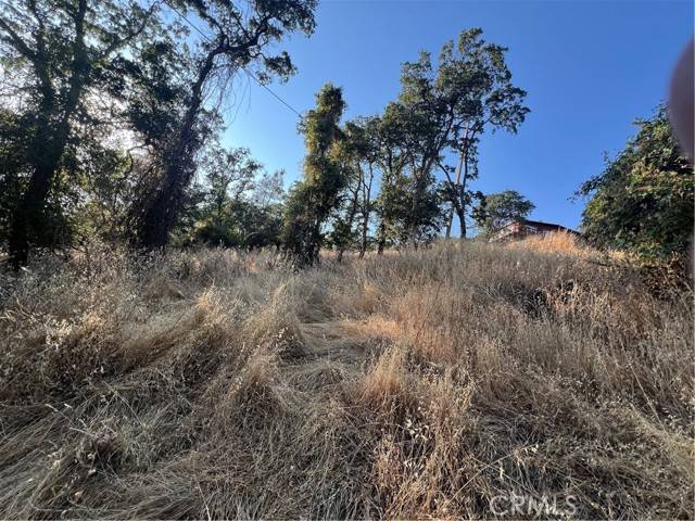 Clearlake, CA 95422,11030 Pioneer Dr