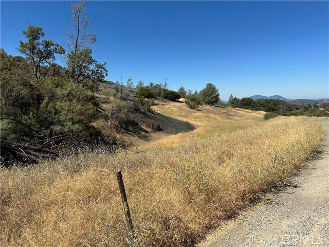 Clearlake Oaks, CA 95423,22017 No Guns Road