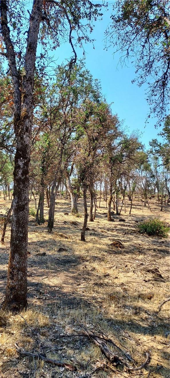 Clearlake, CA 95422,16034 13th Avenue