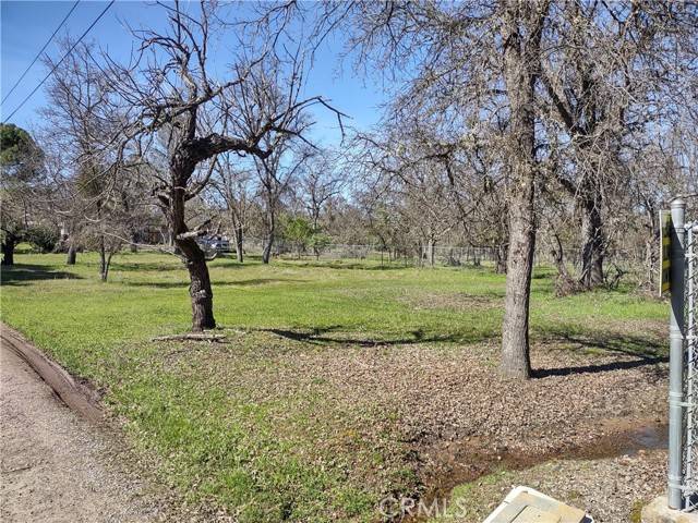 Lakeport, CA 95453,4599 S Terrace Avenue