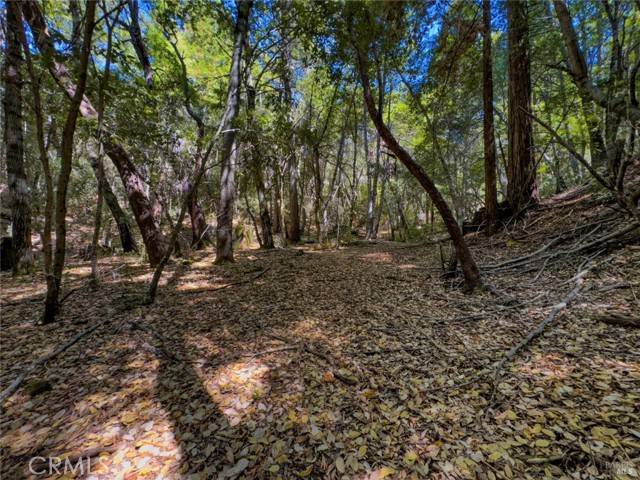 Willits, CA 95490,3700 Redwood Creek Road