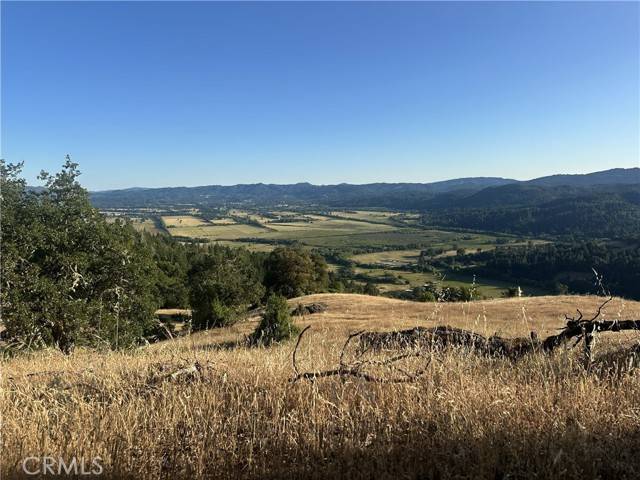 Willits, CA 95490,25996 String Creek Road
