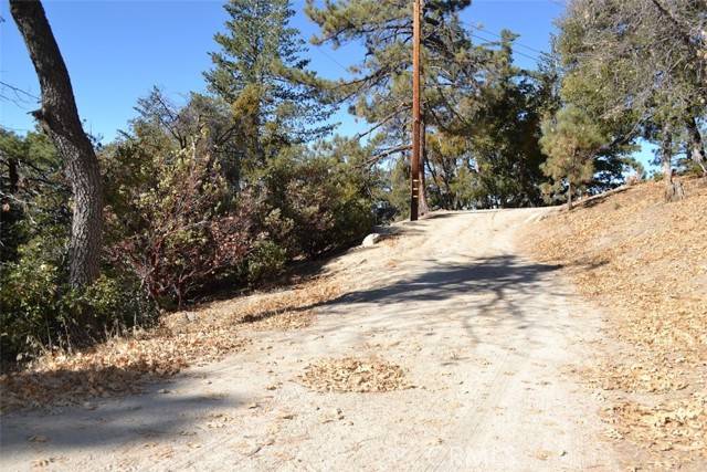 Idyllwild, CA 92549,0 Schaffer
