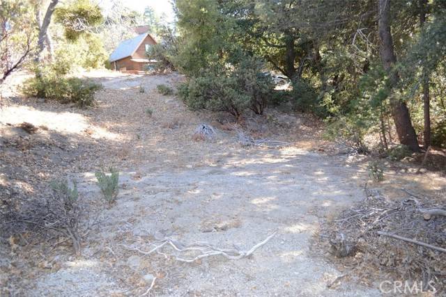 Idyllwild, CA 92549,0 Schaffer