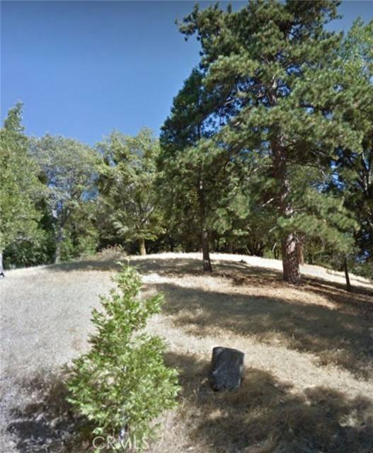 Cedarpines Park, CA 92322,0 MOJAVE RIVER RD