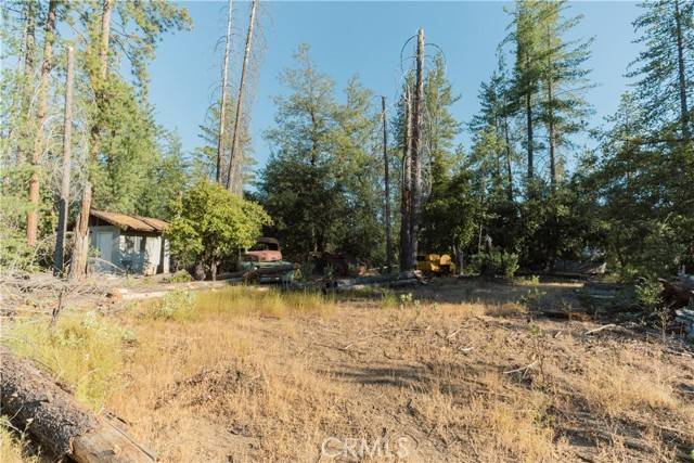 Coulterville, CA 95311,10902 Stout Lane