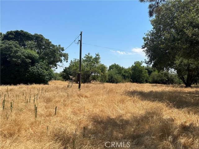 Chowchilla, CA 93610,6787 Ave 23 1/2