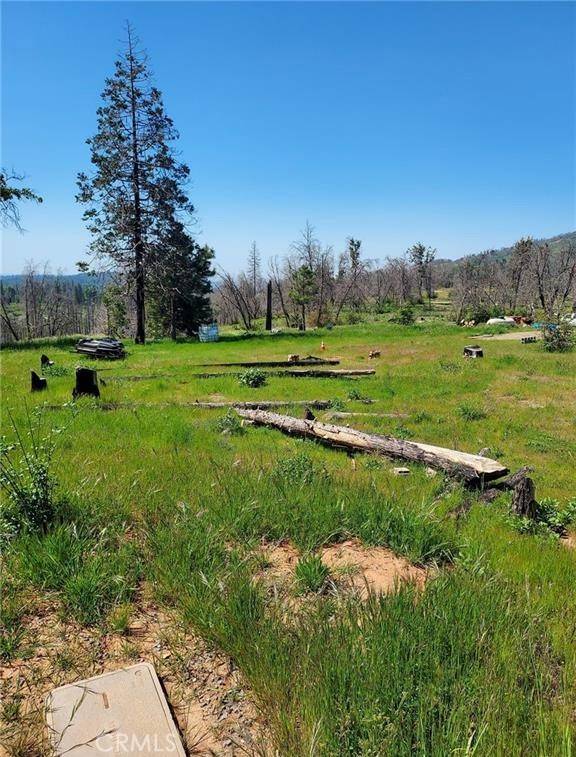 Mariposa, CA 95338,3109 Wild Dove Lane