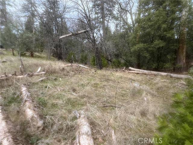 Wishon, CA 93669,0 Road 222