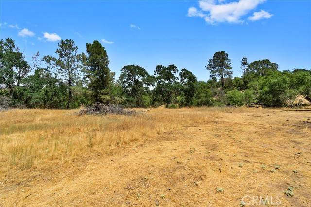 Coarsegold, CA 93614,1812 Sentinel Ct