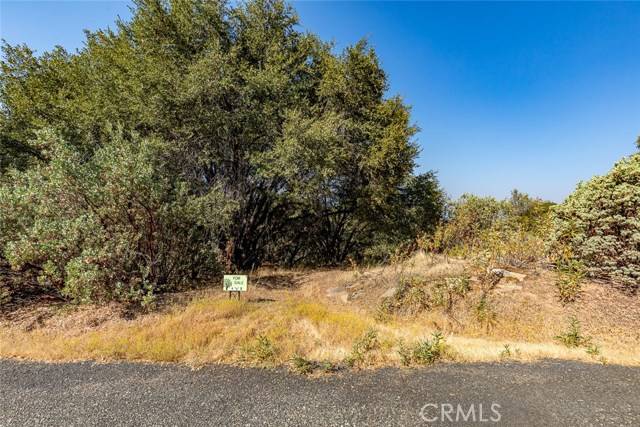 Mariposa, CA 95338,0 Vista Lago Ln. Lot #15