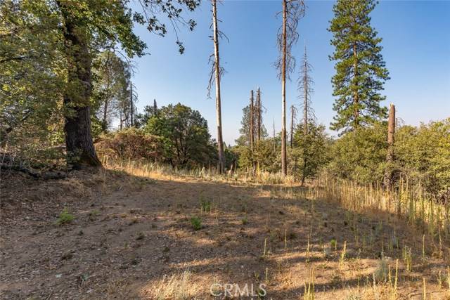 Mariposa, CA 95338,0 Vista Lago Ln. Lot #15