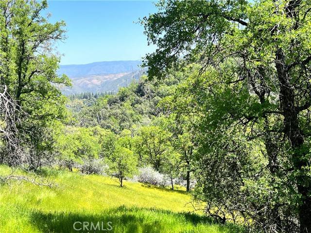 Mariposa, CA 95338,0 Lakeside Drive