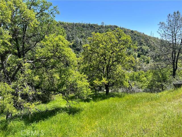 Mariposa, CA 95338,0 Lakeside Drive