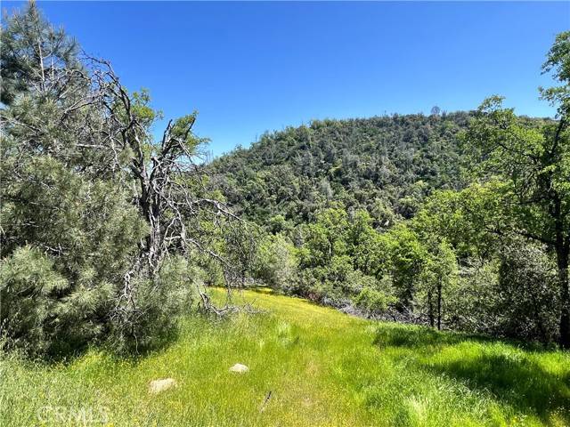 Mariposa, CA 95338,0 Lakeside Drive